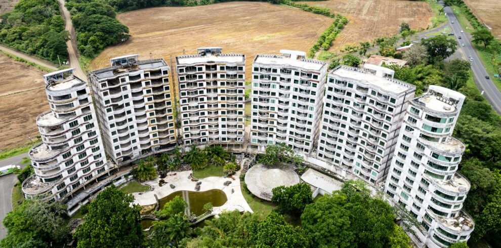 pexels-luis-alberto-arias-69426437-8773579